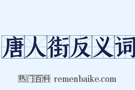 唐人街反义词是什么意思的图片